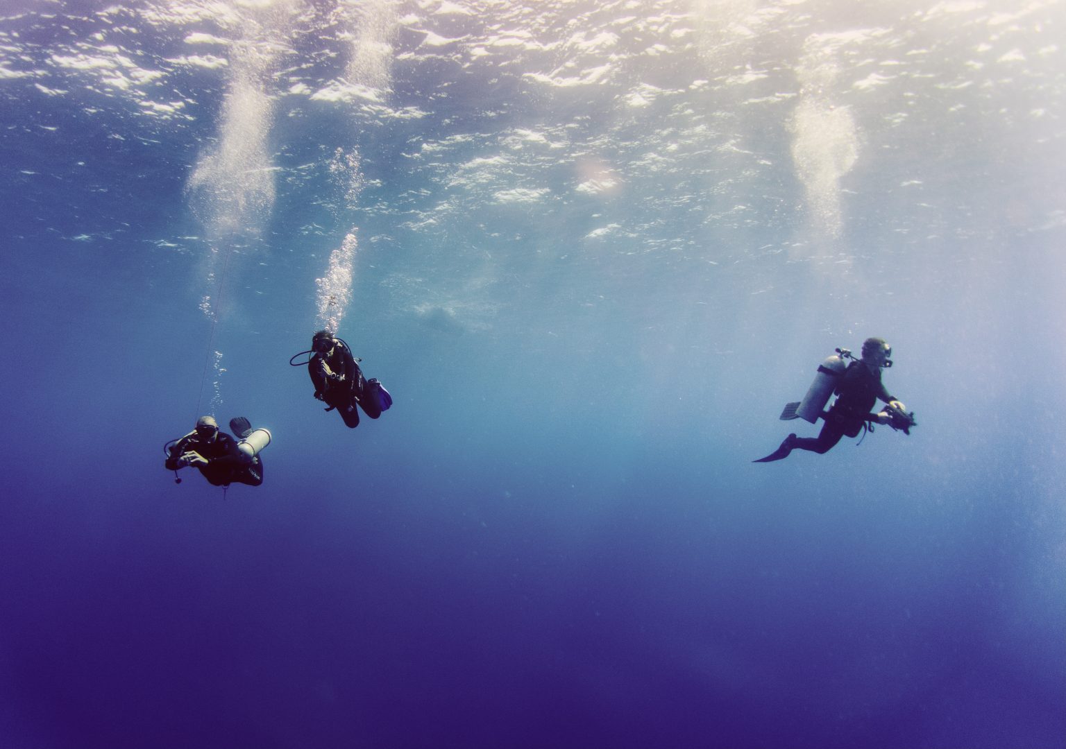 Mergulho científico e turismo subaquático no Politécnico de Leiria