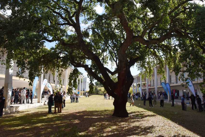 Mil alunos dizem presente ao Campus Aberto do Politécnico de Setúbal