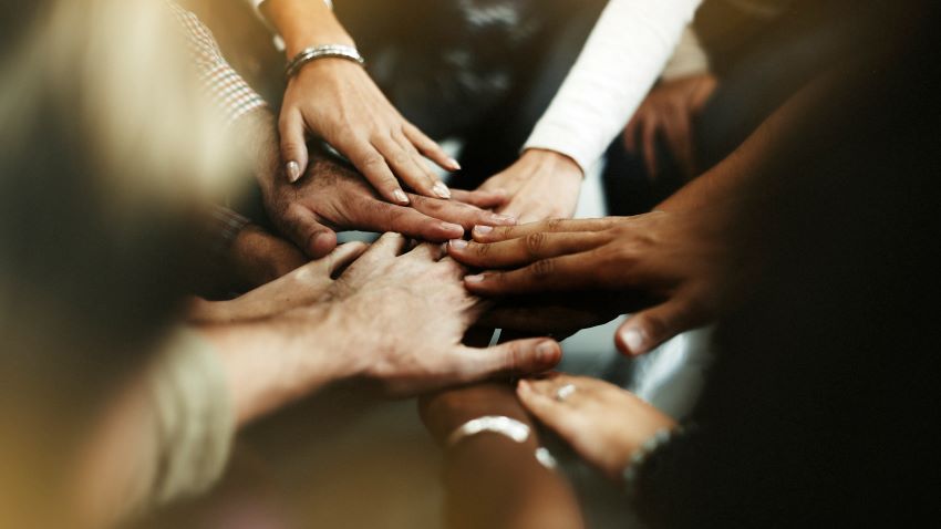Aprendizagens essenciais vão regular disciplina de Cidadania sem deixar cair temas 