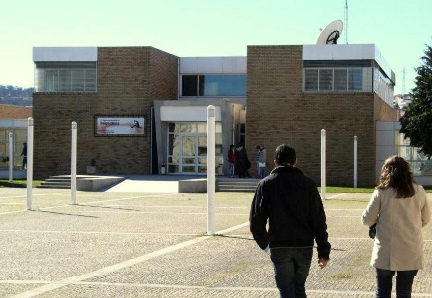 Politécnico de Bragança quer usar lã mirandesa como isolante em campos de refugiados