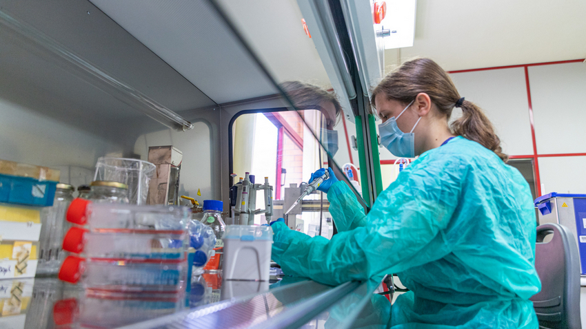 Agência para a Investigação e Inovação: governo pede pareceres e consulta entidades do setor