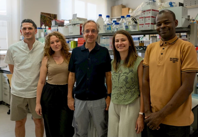 Universidade de Coimbra: Descoberta base molecular da epilepsia