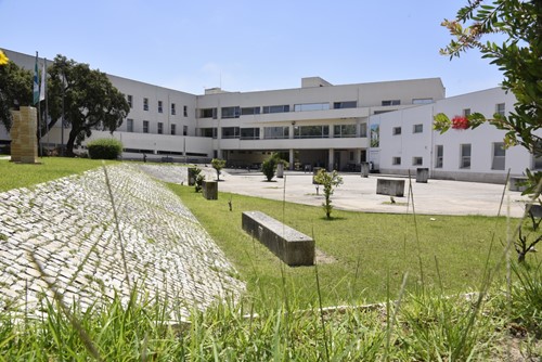 Politécnico de Setúbal coloca 995 novos estudantes e a maioria foi em primeira opção