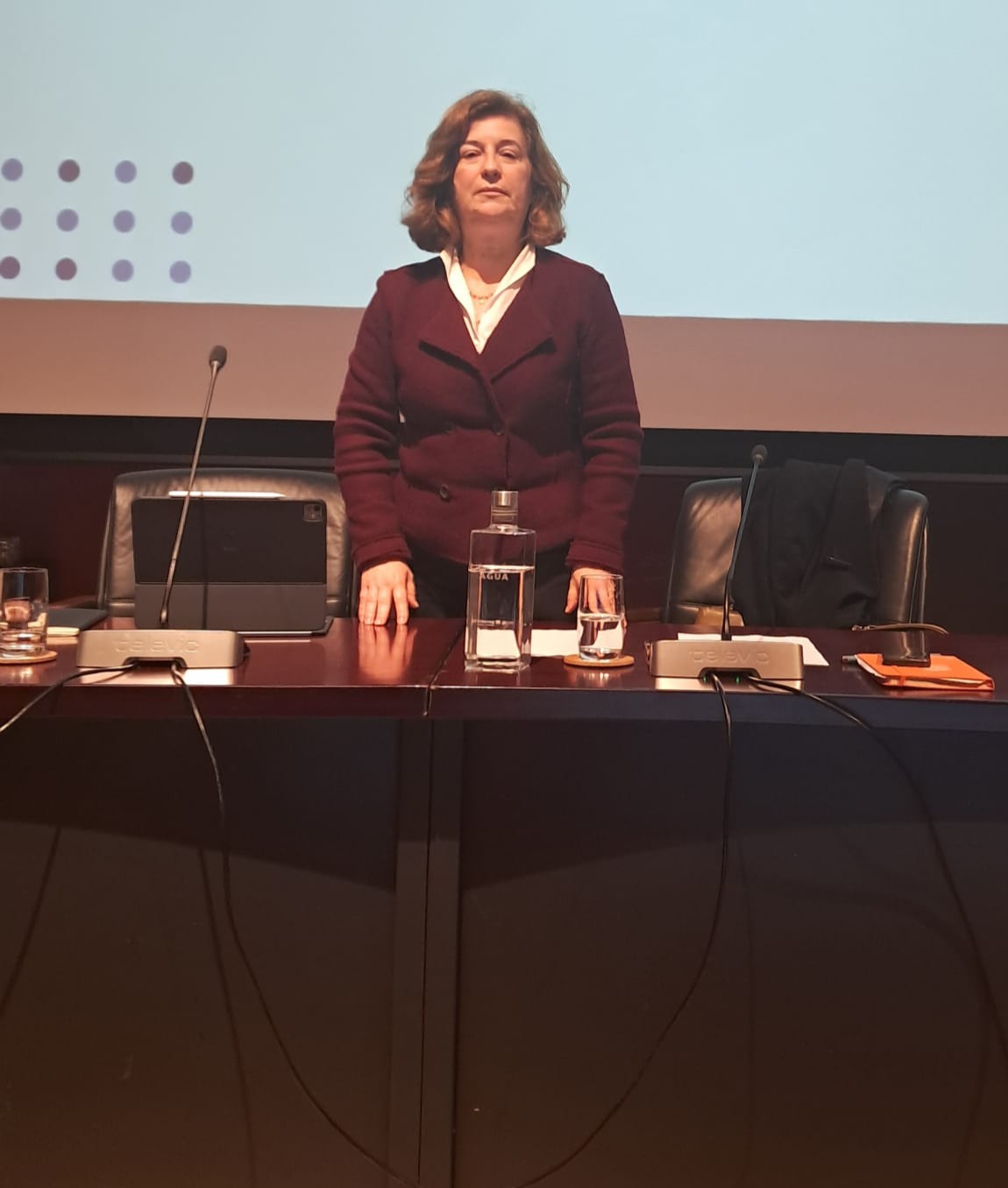 Hermínia Vilar eleita Presidente da Comissão Permanente do Conselho Regional da CCDR Alentejo