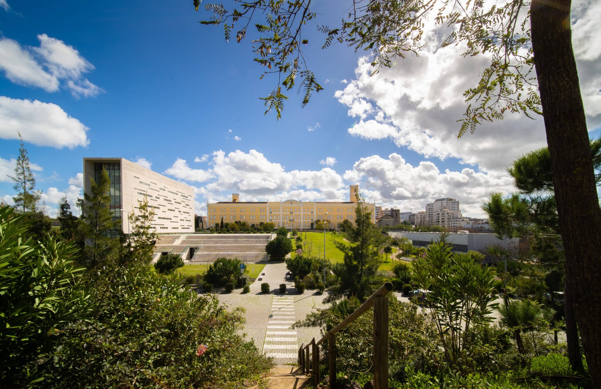 Universidade Nova de Lisboa vai repetir a eleição para reitor