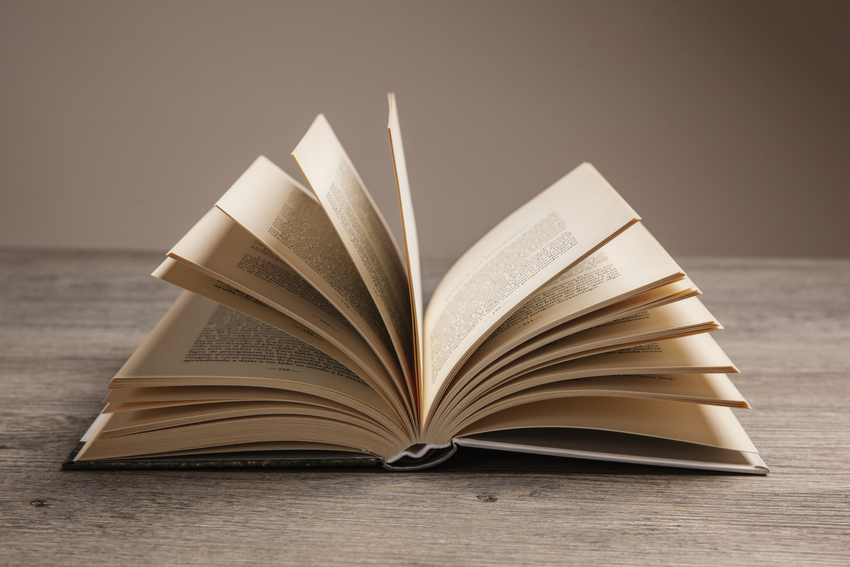 Maria Bárbara Loução vence 5.ª edição do Prémio Literário Joaquim Mestre