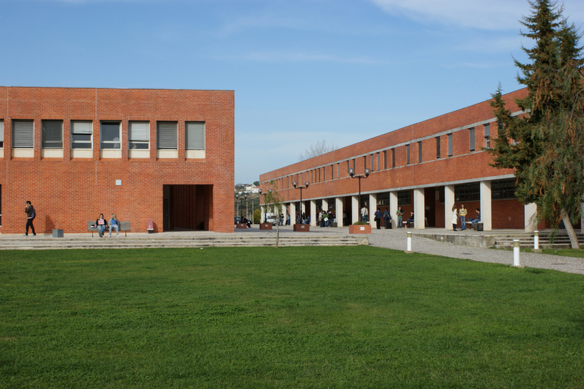 Politécnico de Tomar: Gestão de risco tem curso