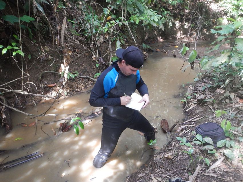 UMinho: Espécies invasoras ameaçam 