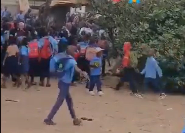 Árvore que era sala de aula desaba numa escola na província de Maputo