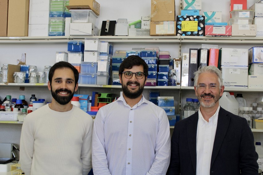 Avanços sobre a Doença de Machado-Joseph na Universidade de Coimbra
