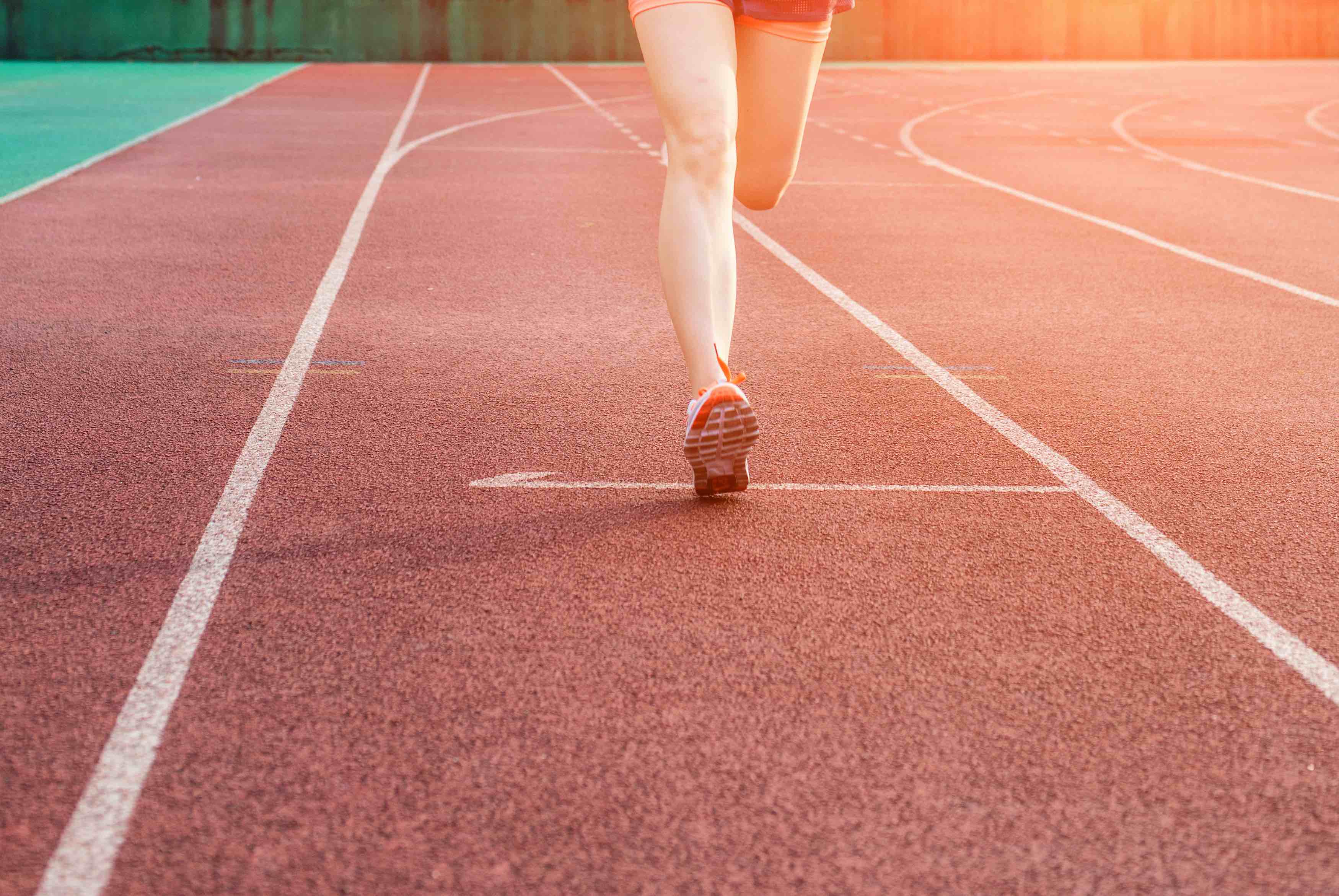 Politécnico de Castelo Branco com cria licenciatura em treino desportivo